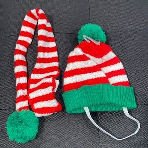 NWOT pet hat and scarf Christmas set.